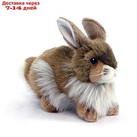 Мягкая игрушка "Кролик", 23 см