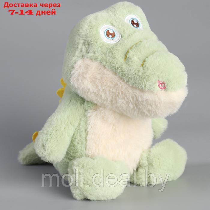 Мягкая игрушка "Крокодил", 22 см, цвет МИКС - фото 4 - id-p220928489