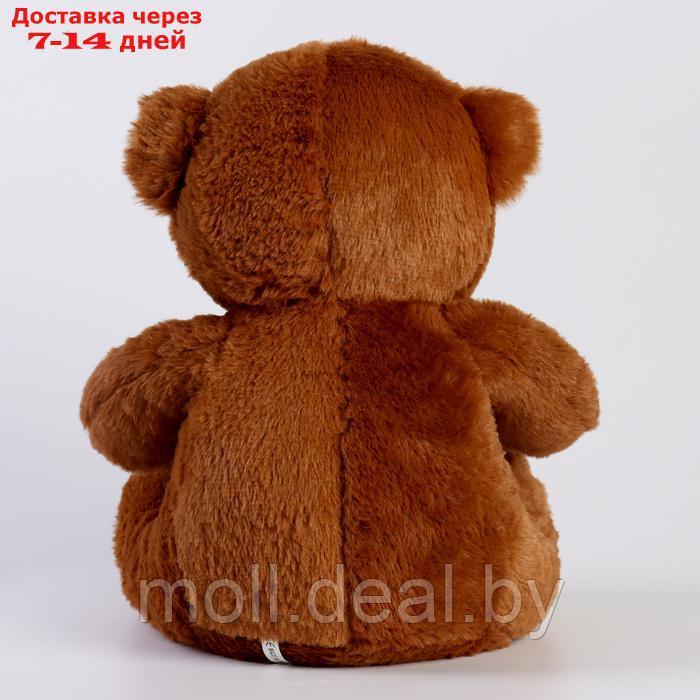 Мягкая игрушка "Медведь" с бантом, 30 см, цвет коричневый - фото 4 - id-p220928490