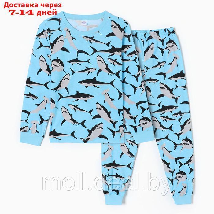 Пижама для мальчиков, цвет голубой/акулы, рост 146 см - фото 1 - id-p220928562