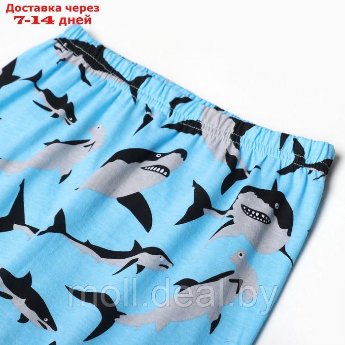 Пижама для мальчиков, цвет голубой/акулы, рост 146 см - фото 4 - id-p220928562