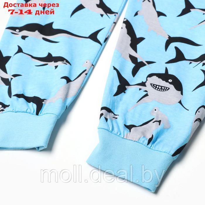 Пижама для мальчиков, цвет голубой/акулы, рост 146 см - фото 5 - id-p220928562