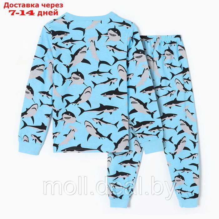 Пижама для мальчиков, цвет голубой/акулы, рост 146 см - фото 6 - id-p220928562