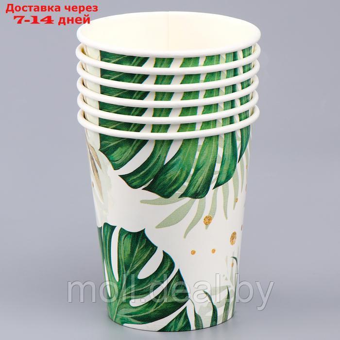 Набор бумажной посуды декор "Эко", 6 тарелок, 6 стаканов, 1 гирлянда, декор фотозоны - фото 3 - id-p220928597