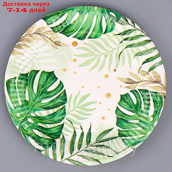 Набор бумажной посуды декор "Эко", 6 тарелок, 6 стаканов, 1 гирлянда, декор фотозоны - фото 4 - id-p220928597