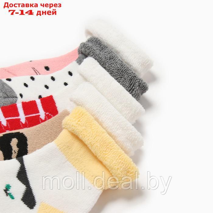 Набор детских носков 5 пар MINAKU "Джентельмен" р-р 11-14 см - фото 2 - id-p220928599