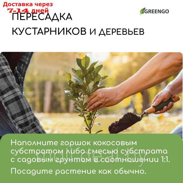 Субстрат кокосовый в брикете, 65 л, 30 % чипсы, 70 % торф"Greengo" - фото 9 - id-p220926641