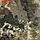 Костюм зимний мужской Gorka Winter Light, цвет 506-3 хаки 05, рост 182-188, размер 48-50, фото 7
