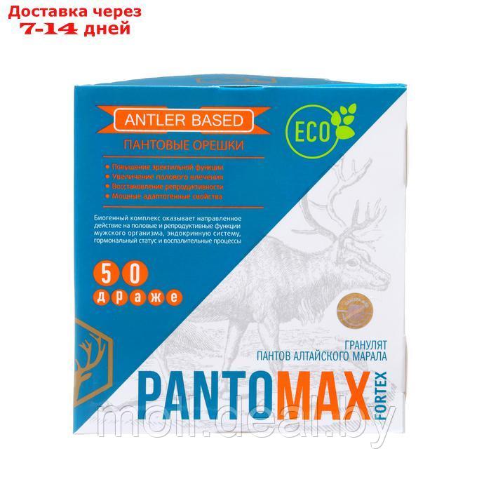Биогенный комплекс Pantomax fortex для мужского здоровья, 3 уп. по 50 драже - фото 3 - id-p220927701