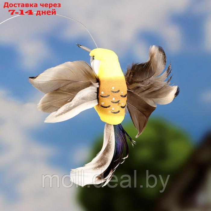 Штекер летающий "Птичка" МИКС - фото 3 - id-p220928793