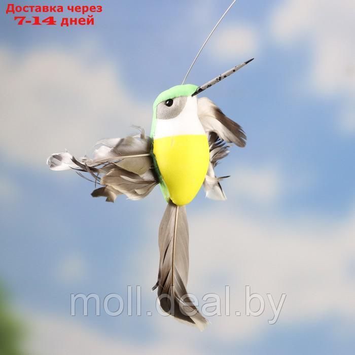 Штекер летающий "Птичка" МИКС - фото 6 - id-p220928793
