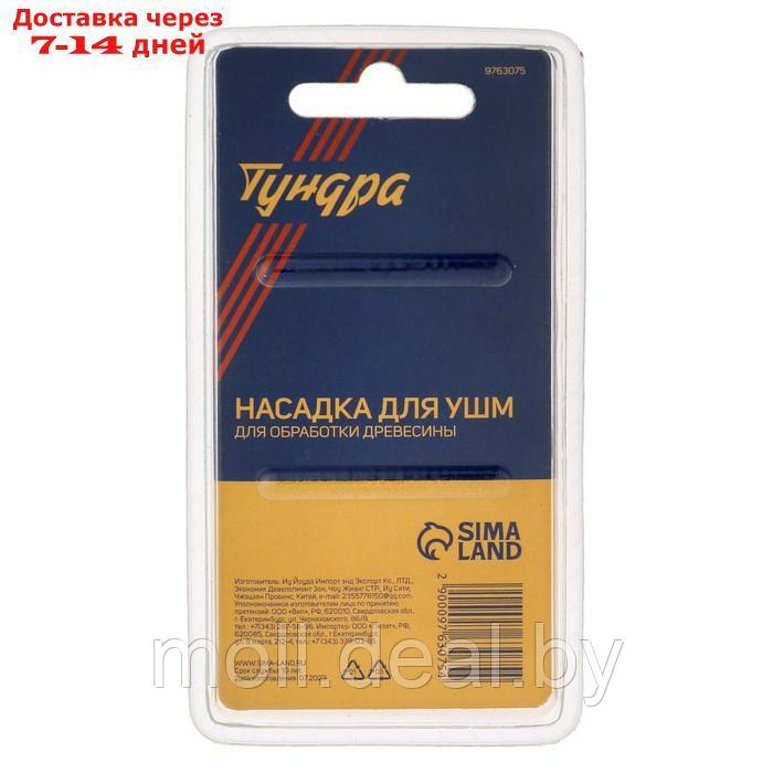 Насадка для УШМ ТУНДРА, для обработки древесины, 20 мм, М14 - фото 6 - id-p220929799