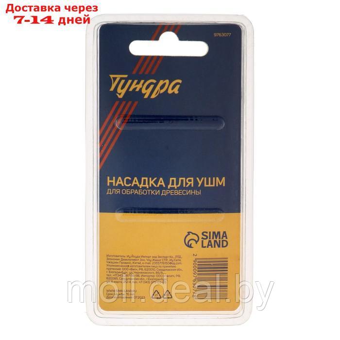 Насадка для УШМ ТУНДРА, для обработки древесины, 30 мм, М14 - фото 6 - id-p220929800