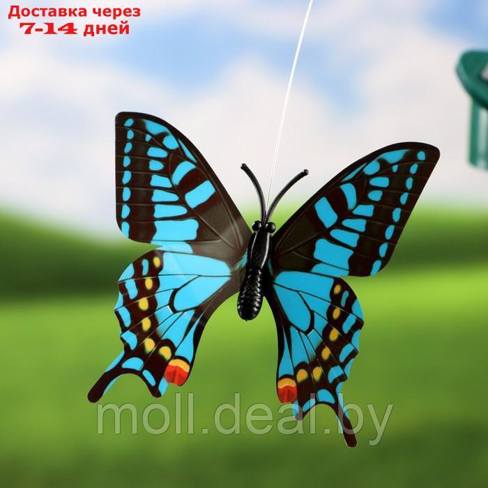 Штекер летающий "Бабочка" МИКС - фото 4 - id-p220928811