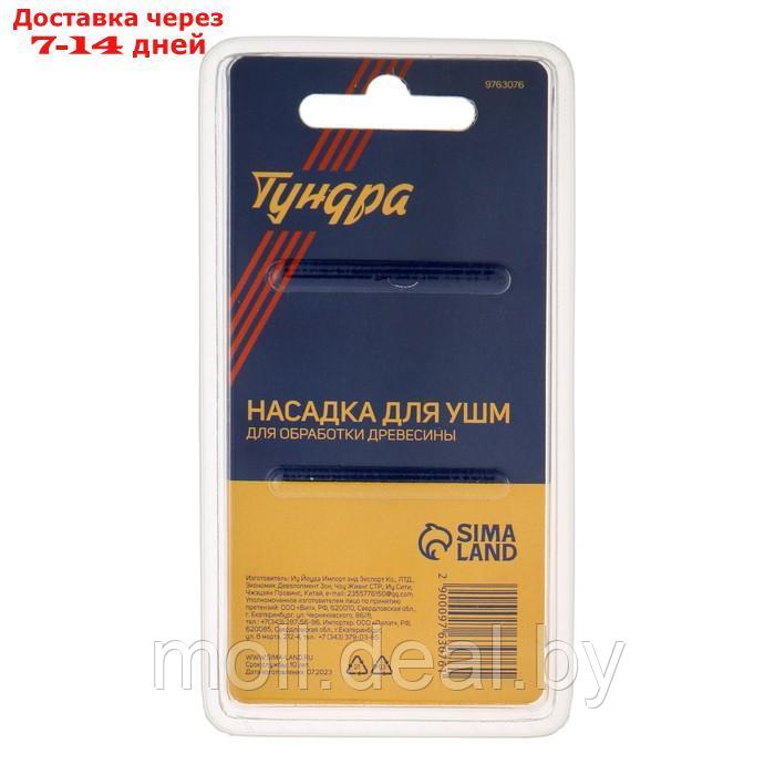 Насадка для УШМ ТУНДРА, для обработки древесины, 25 мм, М14 - фото 6 - id-p220929818