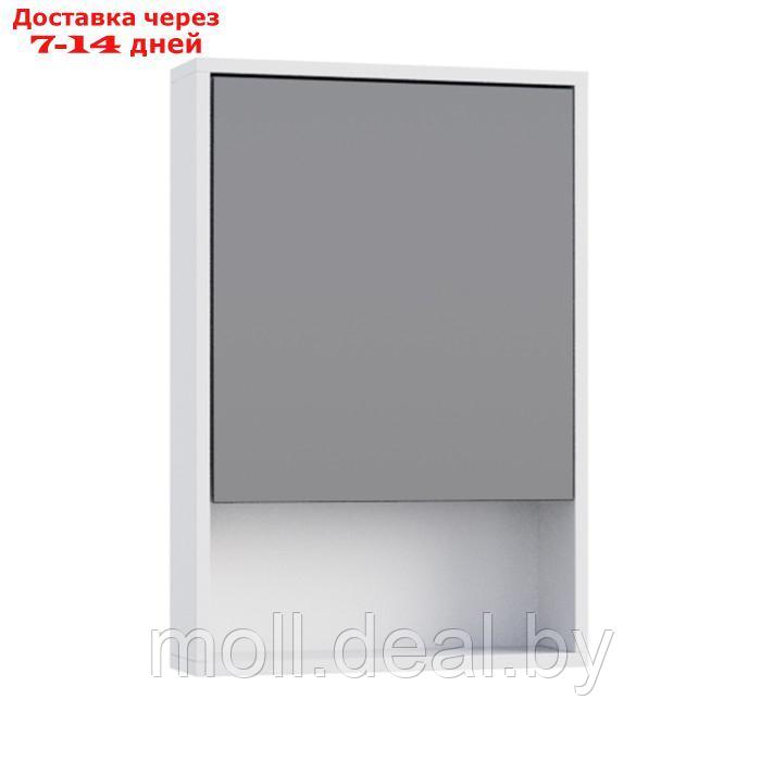 Зеркало-шкаф для ванной комнаты "Эко-45" с нишей, белый, 45 х 66,2 х 12 см - фото 1 - id-p220928939