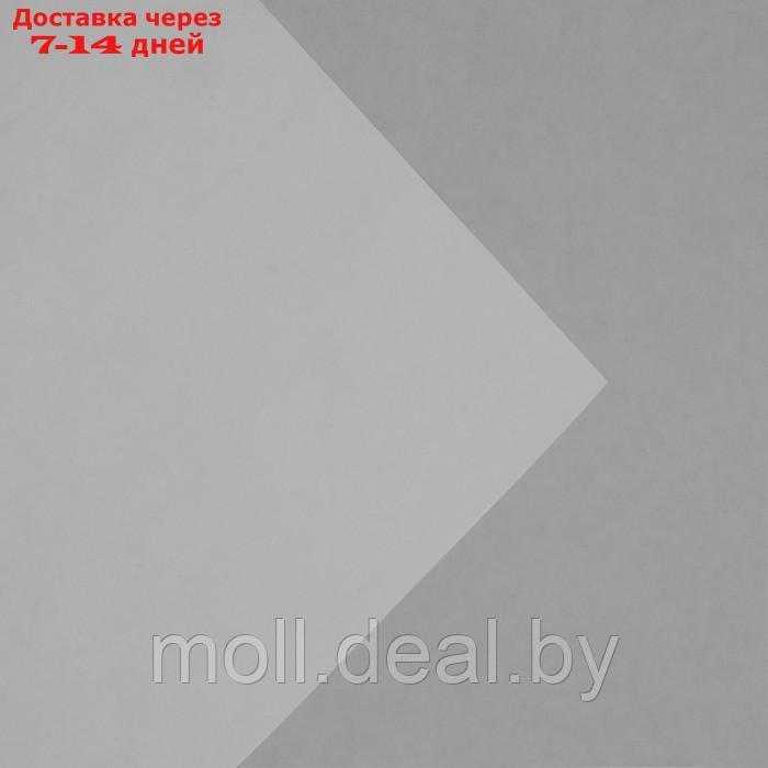 Плёнка глянцевая прозрачная "Белая", 0.6 x 10 м - фото 2 - id-p220927970