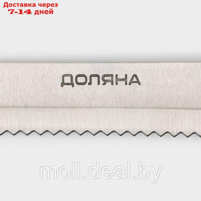 Набор кухонных ножей "Металлик" 6 предметов на подставке - фото 7 - id-p220926522