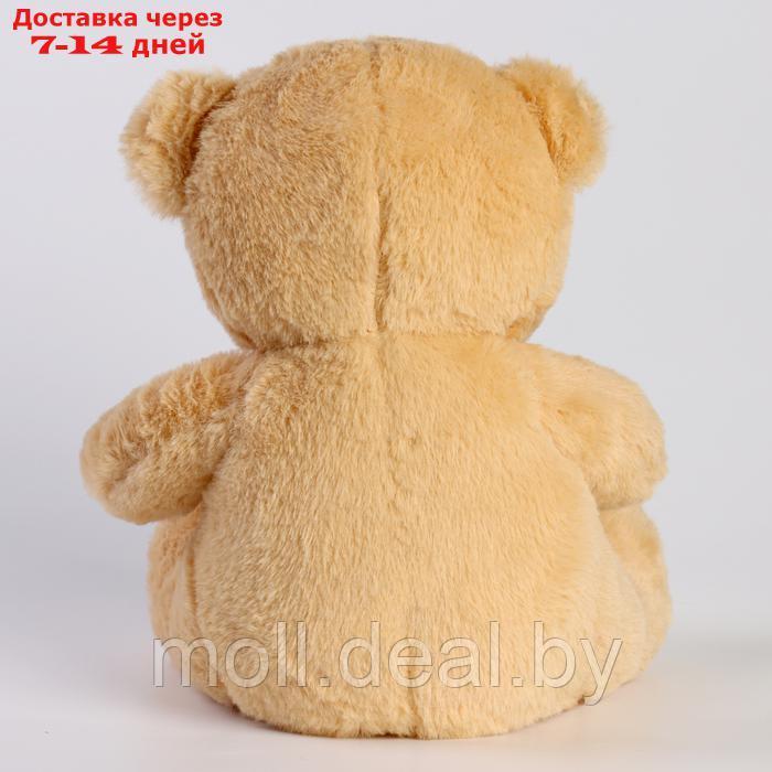 Мягкая игрушка "Медведь" с бантом, 30 см, цвет бежевый - фото 4 - id-p220928524