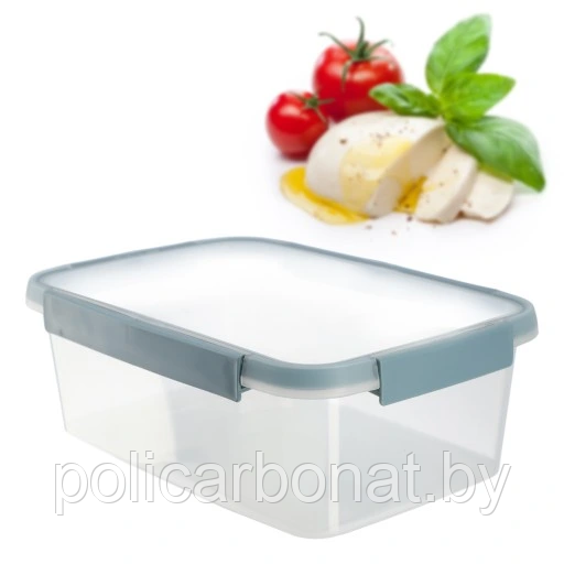 Контейнер пищевой прямоугольный Foodkeeper rectangular 3,5L, Прозрчный/ голубой - фото 1 - id-p220957352
