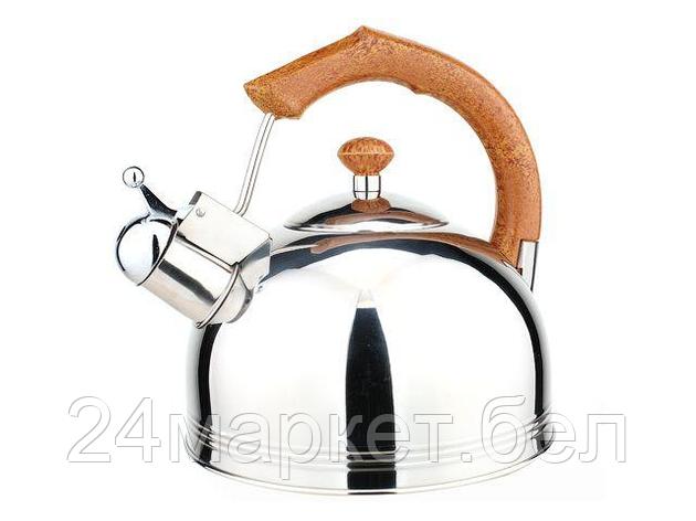Чайник со свистком Perfecto Linea Puer 52-225002, фото 2