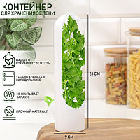 Контейнер пластиковый Fresh, для хранения зелени, 500 мл