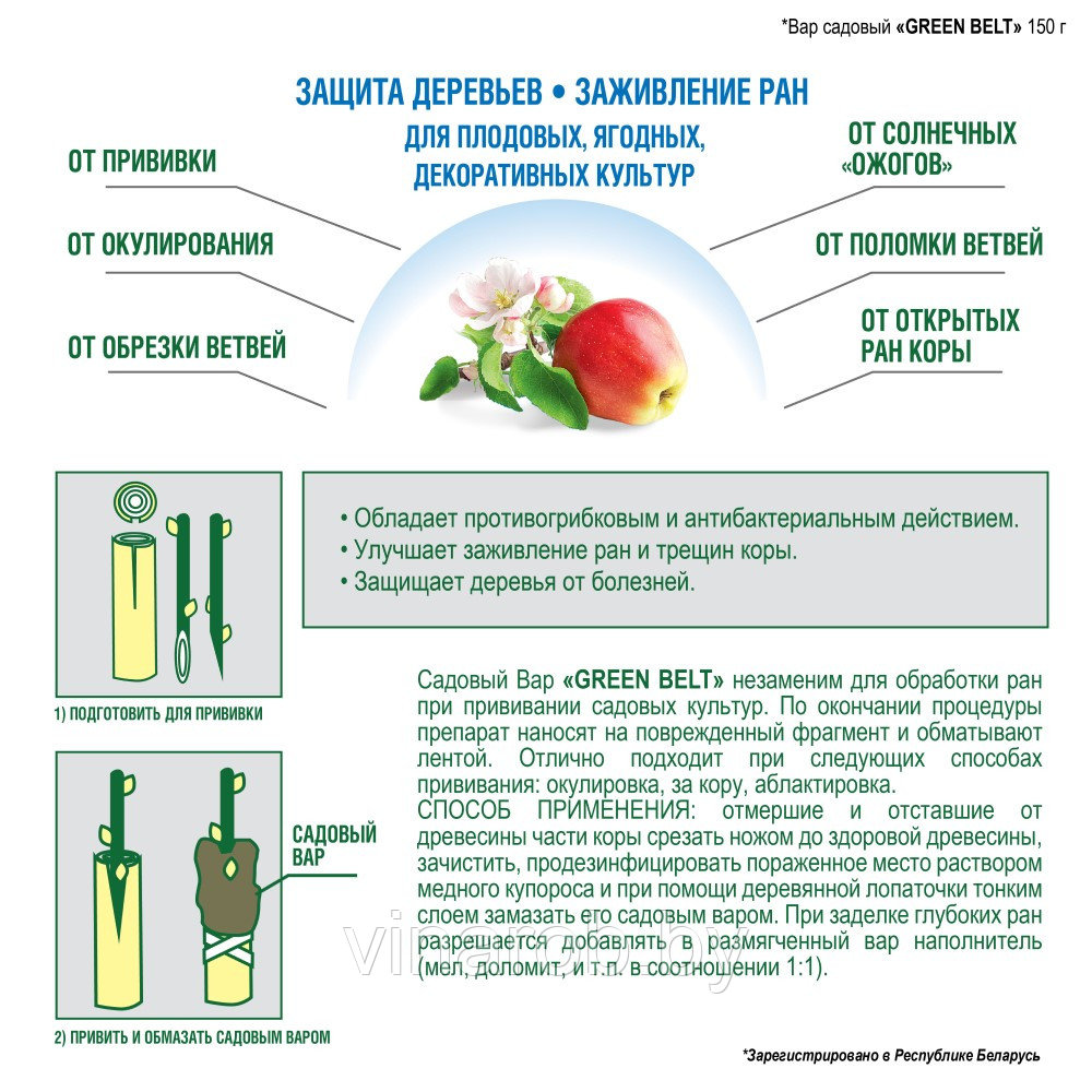 Вар садовый ГРИН БЭЛТ (150г) - фото 2 - id-p220967303