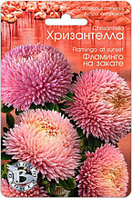 Астра китайская Хризантелла "Фламинго на закате", 30 шт.  "Биотехника", РФ