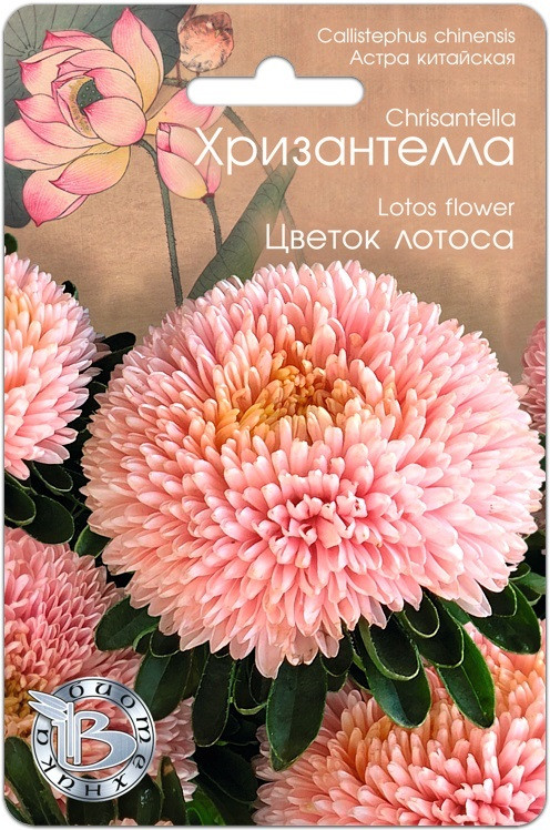 Астра китайская Хризантелла Цветок лотоса", 30 шт. "Биотехника", РФ