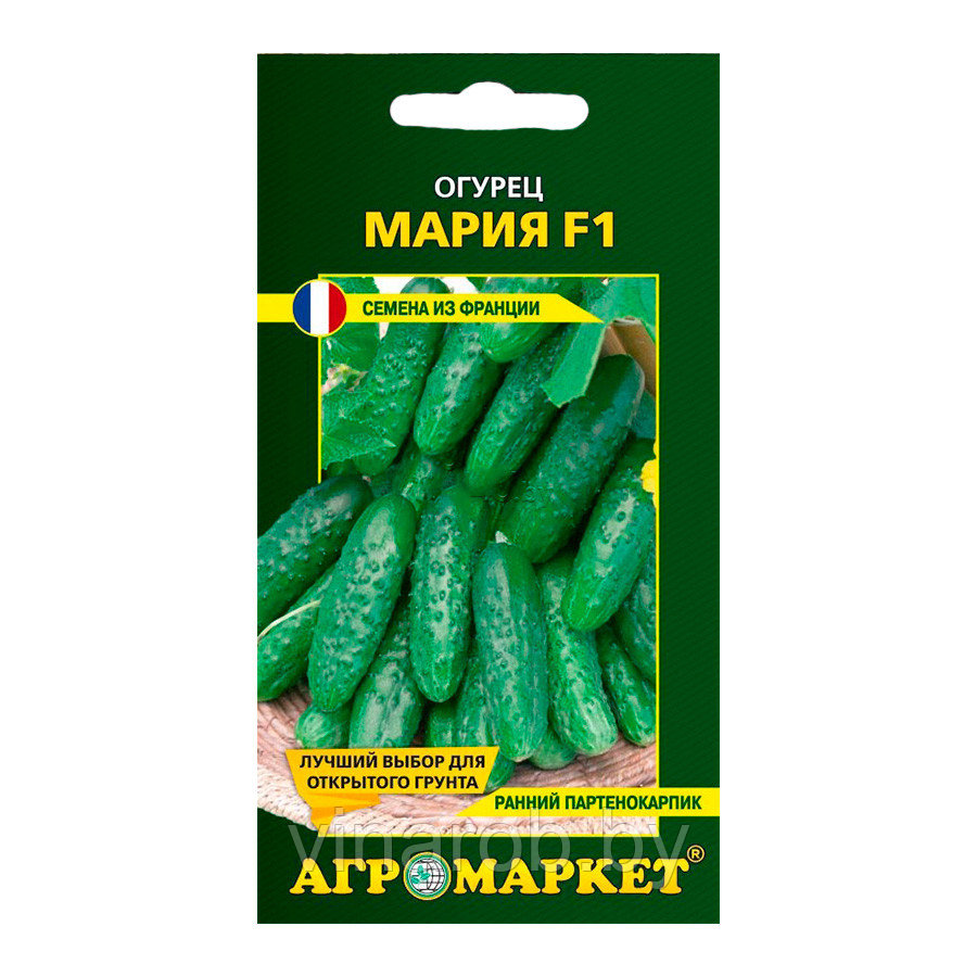 Огурец Мария F1, 10шт (до 10.2025)