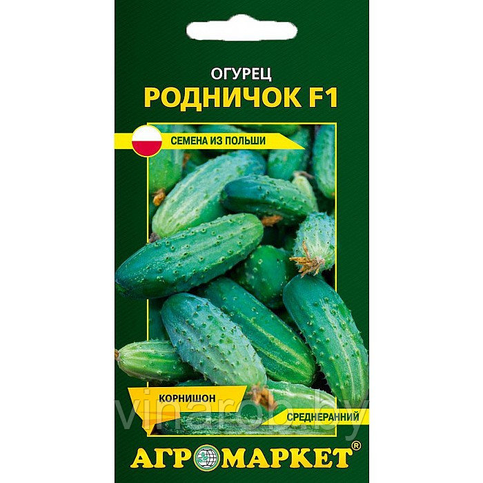 Огурец Родничок F1, 1г