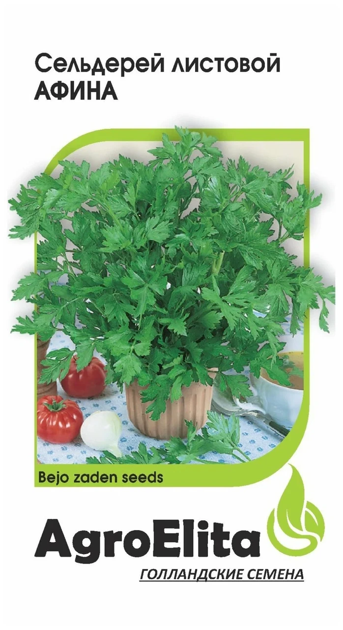 Сельдерей листовой Афина