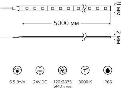 Светодиодная лента GAUSS SMD, 32.5Вт, 5м [311000165] - фото 2 - id-p220450578