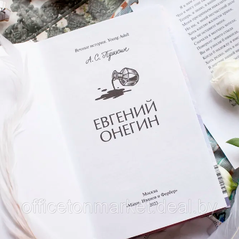 Книга "Евгений Онегин. Вечные истории. Young Adult", Александр Пушкин - фото 4 - id-p217248021