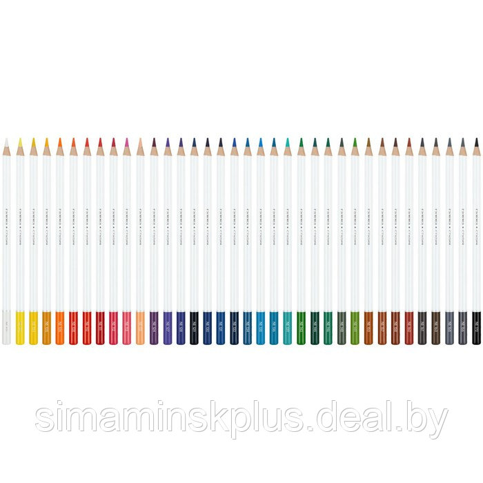 Карандаши цветные 36 цветов Гамма "Студия", диаметр грифеля 3,3 мм - фото 2 - id-p221030932