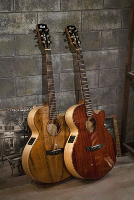 Электроакустическая гитара Cort SFX-Myrtlewood BR - фото 2 - id-p221033238