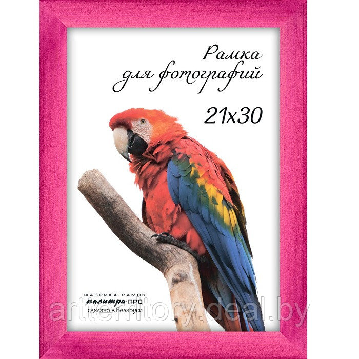 Рамка Палитра ПРО Розовый, деревянная со стеклом, 21х30 см - фото 1 - id-p221102964