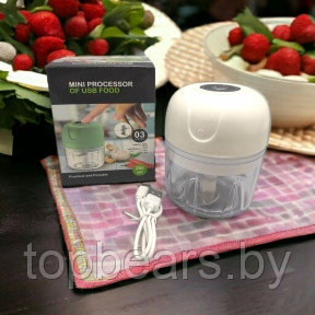 Портативный мини измельчитель для кухни Mini processor of USB FOOD 250 ml Белый