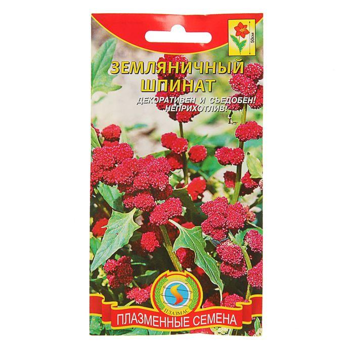 Шпинат Земляничный