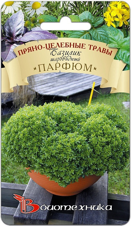 Базилик шаровидный "Парфюм", 0,1 г   "Биотехника", РФ