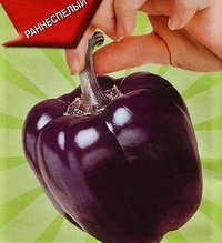 Перец сладкий Фиолетовый куб, семена, 20шт., (аэ)