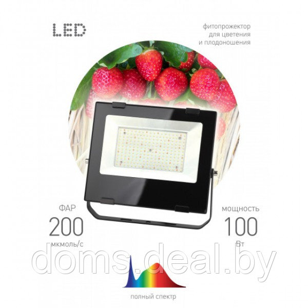 Фитопрожектор для растений светодиодный ЭРА FITO-100W-Ra90-LED для цветения и плодоношения полного спектра - фото 2 - id-p215935142
