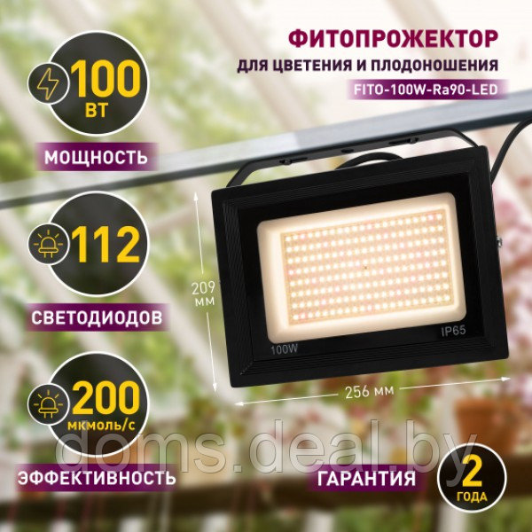 Фитопрожектор для растений светодиодный ЭРА FITO-100W-Ra90-LED для цветения и плодоношения полного спектра - фото 6 - id-p215935142