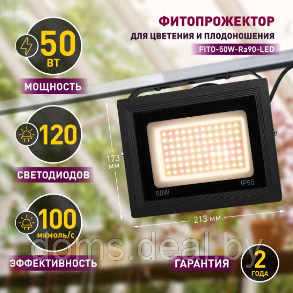 Фитопрожектор для растений светодиодный ЭРА FITO-50W-Ra90-LED для цветения и плодоношения полного спектра 50Вт - фото 2 - id-p215935143