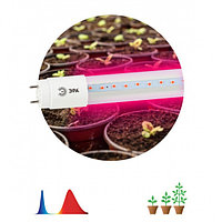 Фитолампа для растений светодиодная 600мм ЭРА FITO-9W-RB-Т8-G13-NL Эра FITO-9W-RB-Т8-G13-NL