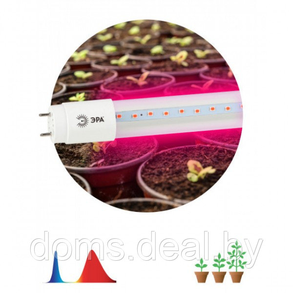 Фитолампа для растений светодиодная 600мм ЭРА FITO-9W-RB-Т8-G13-NL Эра FITO-9W-RB-Т8-G13-NL - фото 1 - id-p221161402