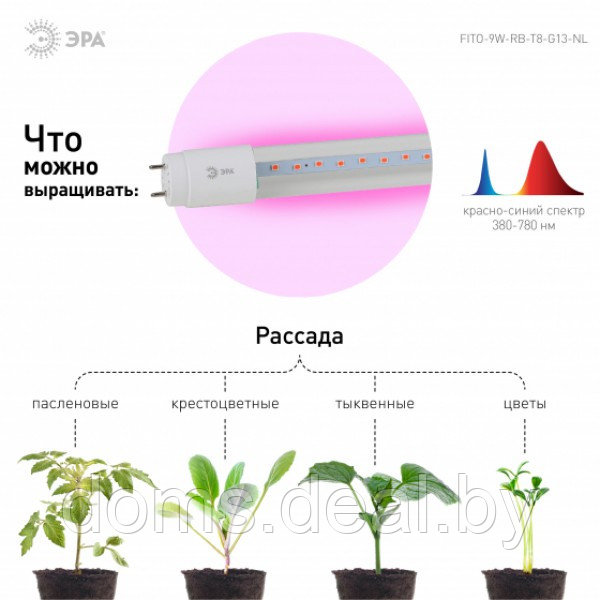 Фитолампа для растений светодиодная 600мм ЭРА FITO-9W-RB-Т8-G13-NL Эра FITO-9W-RB-Т8-G13-NL - фото 9 - id-p221161402