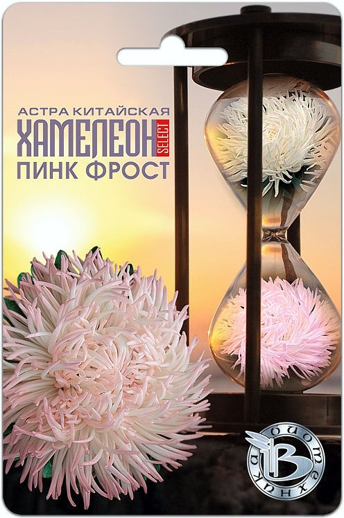Астра китайская Хамелеон селект "Пинк Фрост" , 30 шт. "Биотехника", РФ