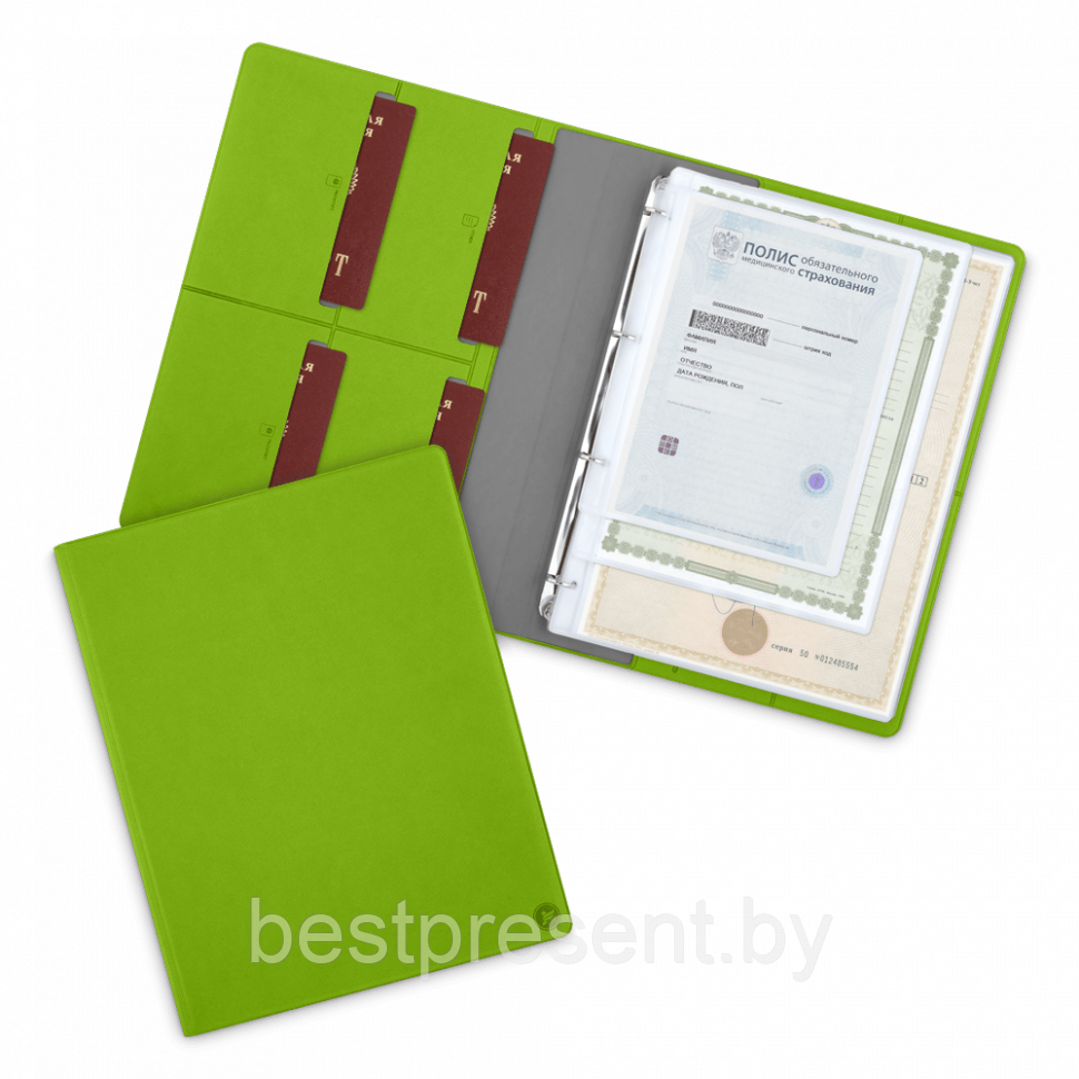 Органайзер для документов A4 на кольцах, цвет зеленый - фото 1 - id-p221225431