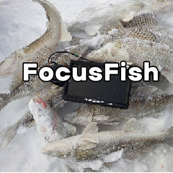 Подводные камеры FocusFish